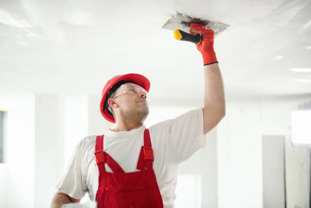 Best Water-Damaged Drywall Repair  in Upton, WY